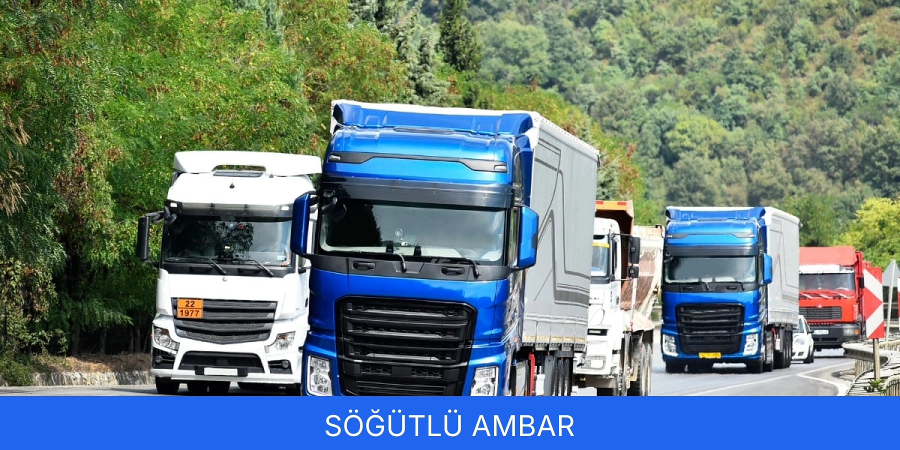 Söğütlü Ambar