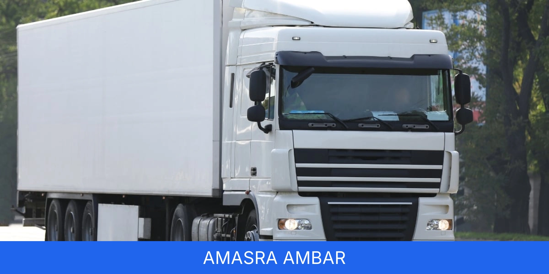 Amasra Ambar