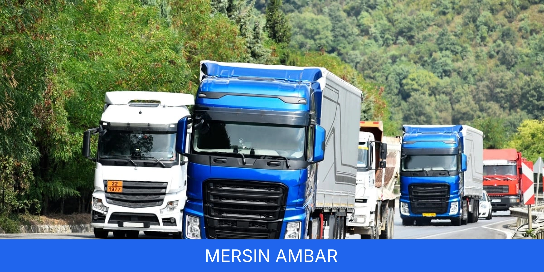 Mersin Ambar