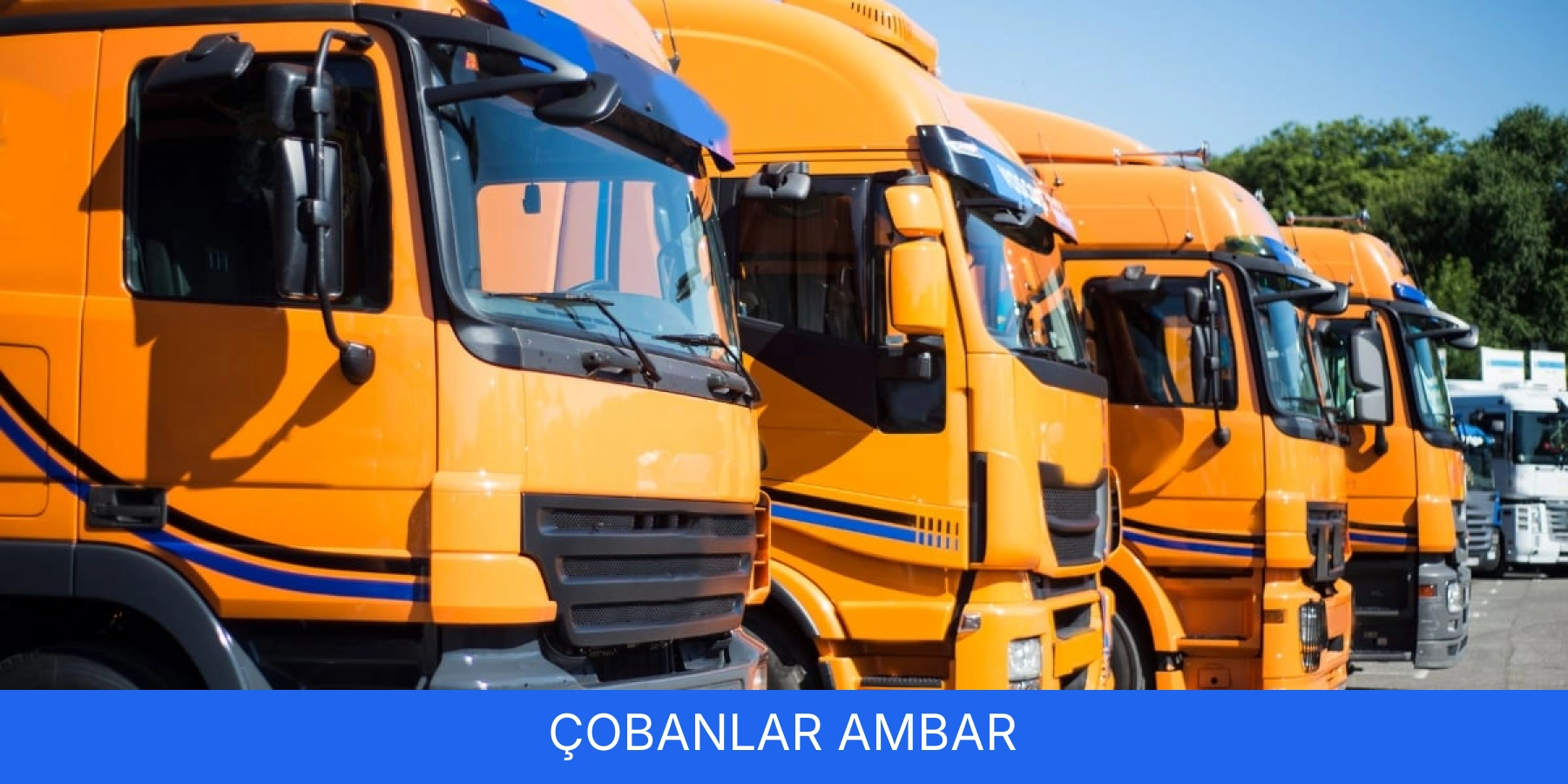 Çobanlar Ambar
